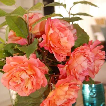 Urlaub-im-ehemaligen-kapitaenshaus Σπίτι διακοπών Wyk auf Föhr